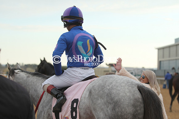 z190125_SmartyJonesStakesDay_Manning_0419