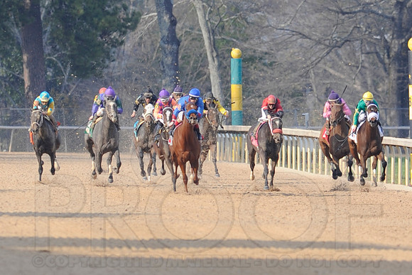 Honeybee Stakes (Grade III) 3-8-2014 (© Justin Manning) JWM_1387