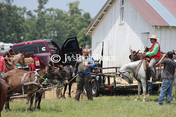 Whiskey Ridge Ranch (Chuckwagon Races) 5-26-24_JWM_0616