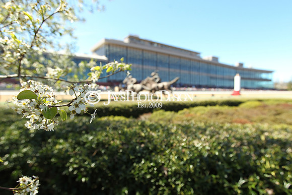 z190316_RebelStakesDay_Manning_0158