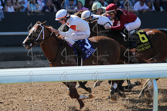 z250412_Count Fleet Sprint Handicap_JWM_1144