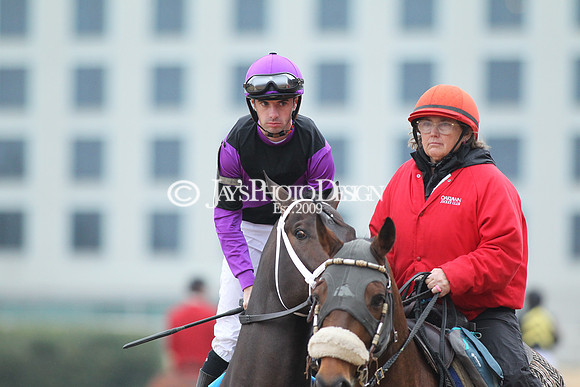 z200217_SouthwestStakesDay_Manning_3453