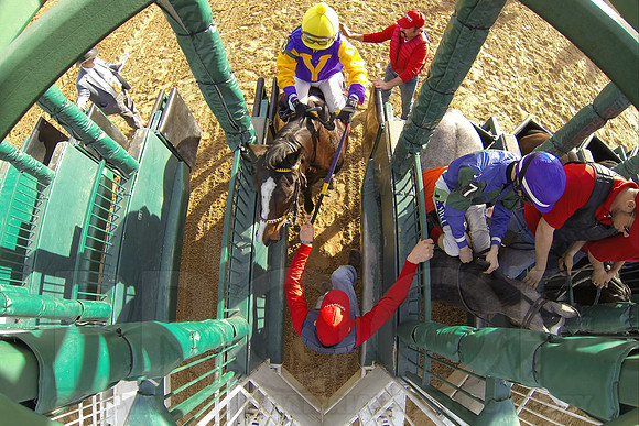 Oaklawn Park (Scenery) 1-26-14 (©Justin Manning) JWM_0487