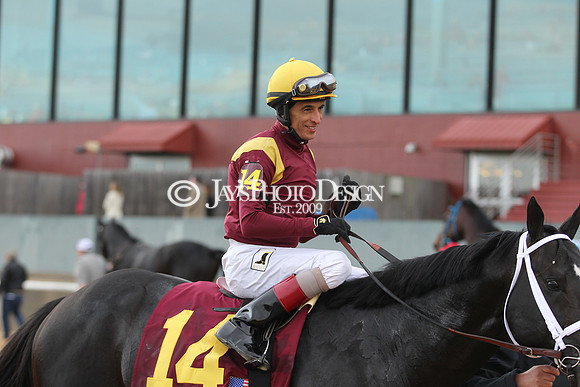 z190218_SouthwestStakesDay_Manning_799