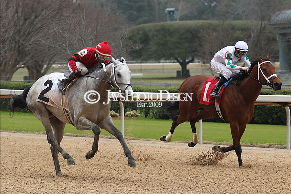 z200217_SouthwestStakesDay_Manning_4099