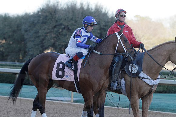 Smarty Jones Stakes 01-20-14 (©Justin Manning) JWM_0364