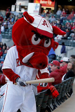 Miss Valley State @ Arkansas Baseball 3-27-13 (© Justin Manning) JWM0067