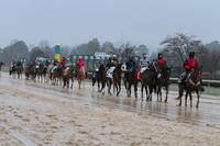 50th Running Southwest Stakes (Grade III) 2-22-2015 (©Justin Manning) JWM_074