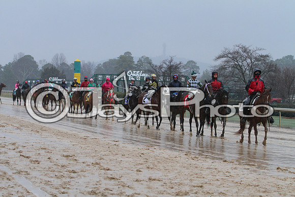 50th Running Southwest Stakes (Grade III) 2-22-2015 (©Justin Manning) JWM_074