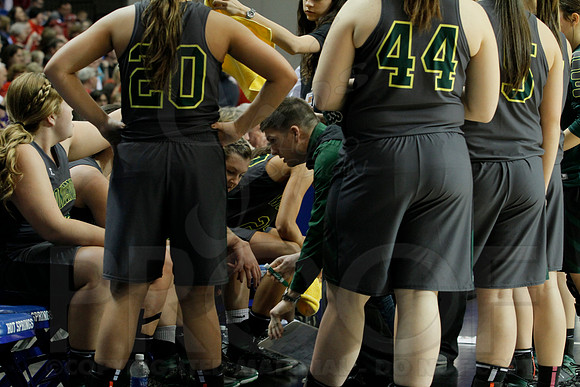 1A Girls State Finals-Nemo Vista vs. Wonderview 3-14-2014 (© Justin Manning) JWM_0068