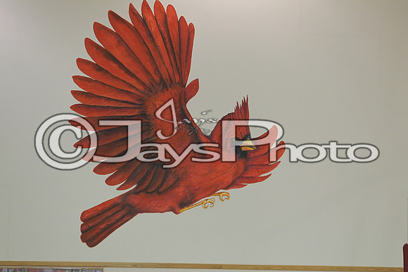 Mayflower @ Harmony Grove Sr. Girls 1-26-2016 (©Justin Manning) JWM_(0207