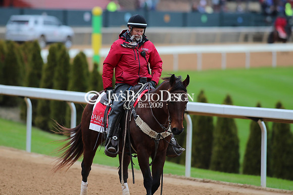 z250104_MockingbirdStakes _JWM_0283