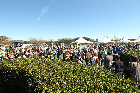 z190316_RebelStakesDay_Manning_0067