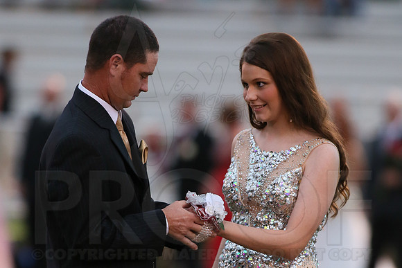 Bismarck @ Glen Roe (Homecoming) (Day Ceremony) 10-10-2014 (©Justin Manning) JWM_0104