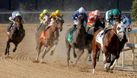 Oaklawn Park (Scenery) 1-26-14 (©Justin Manning) JWM_0030