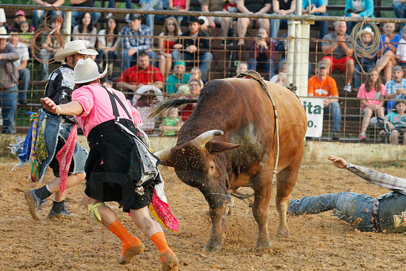 Bull Bash (Brickfest) 6-28-2014 (©Justin Manning) JWM_201