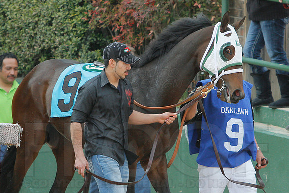 Honeybee Stakes (Grade III) 3-8-2014 (© Justin Manning) JWM_0096