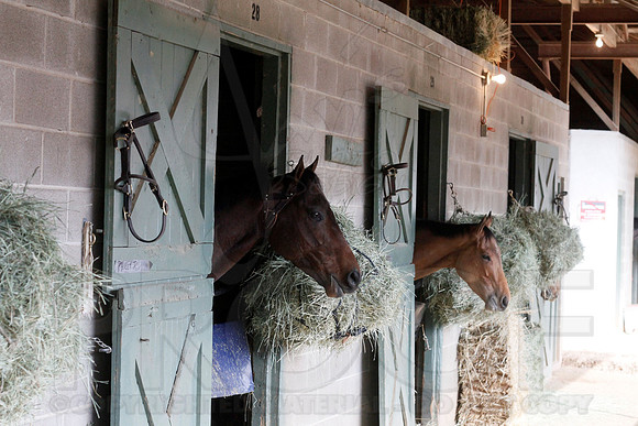 Oaklawn 1-13-13 (Justin Manning)0010