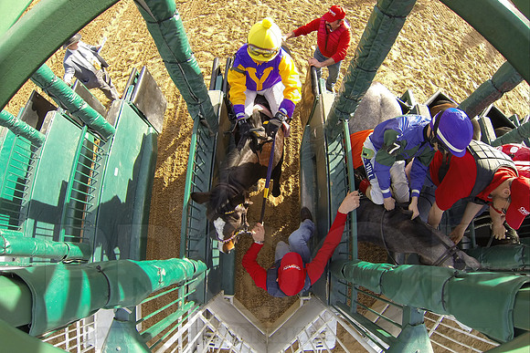 Oaklawn Park (Scenery) 1-26-14 (©Justin Manning) JWM_0496