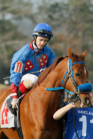 Honeybee Stakes (Grade III) 3-8-2014 (© Justin Manning) JWM_0157