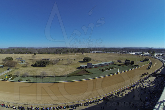 Smarty Jones Stakes 01-20-14 (©Justin Manning) JWM_0073