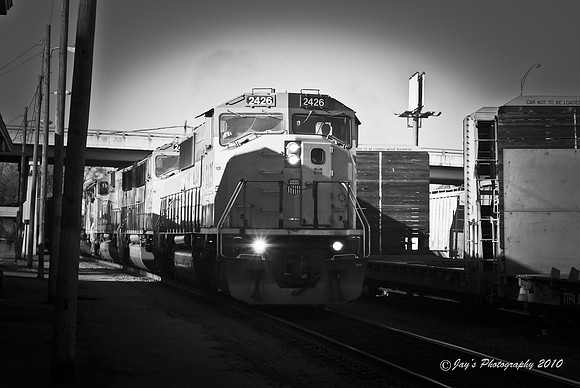 DSC_0104