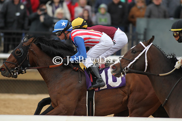 z190218_SouthwestStakesDay_Manning_745