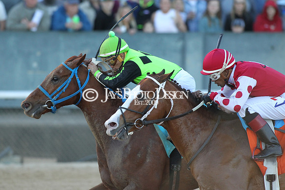 z190316_EssexStakes_Manning_0231