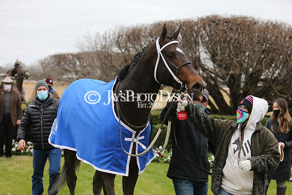 z210123_Fifth Season Stakes_Manning_0135