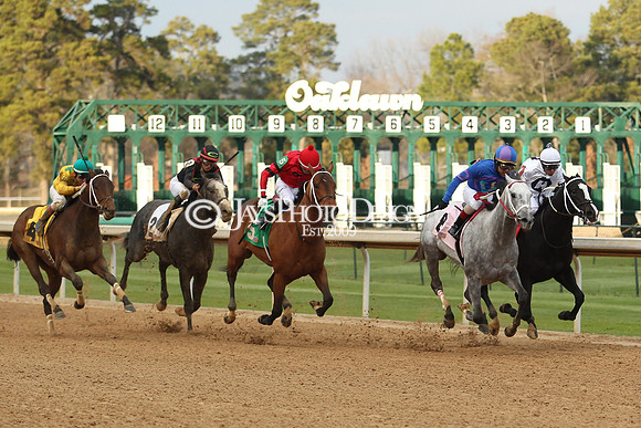 z190125_SmartyJonesStakesDay_Manning_0378
