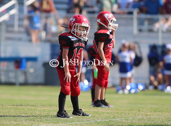 3rd Grade Peewee Football (Glen Rose @ Bismarck) 8-24-24_JWM_0291