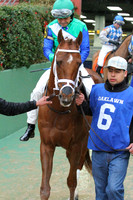 50th Running Southwest Stakes (Grade III) 2-22-2015 (©Justin Manning) JWM_060