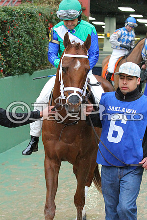 50th Running Southwest Stakes (Grade III) 2-22-2015 (©Justin Manning) JWM_060