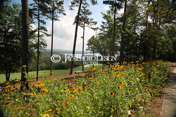 Arnold Palmer Cup 6-8-19_0149