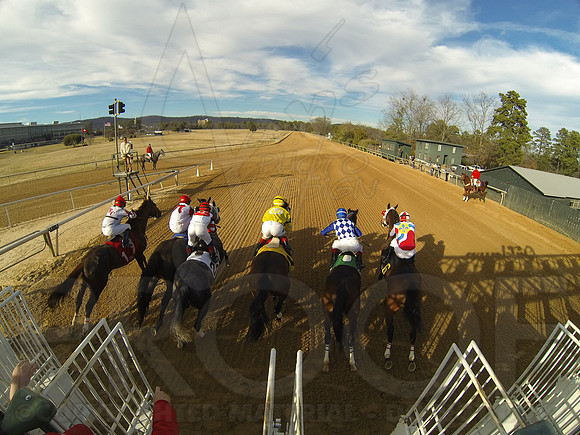 Oaklawn Park (Scenery) 1-26-14 (©Justin Manning) JWM_0421