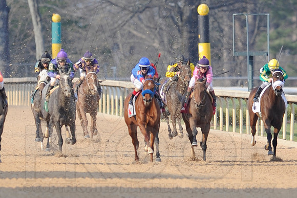 Honeybee Stakes (Grade III) 3-8-2014 (© Justin Manning) JWM_1396