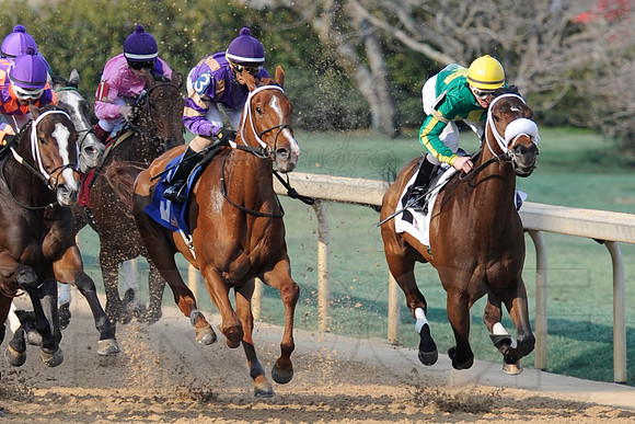 Honeybee Stakes (Grade III) 3-8-2014 (© Justin Manning) JWM_1345