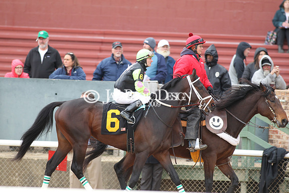 z190218_SouthwestStakesDay_Manning_1195