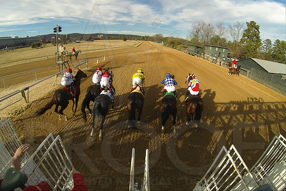Oaklawn Park (Scenery) 1-26-14 (©Justin Manning) JWM_0424