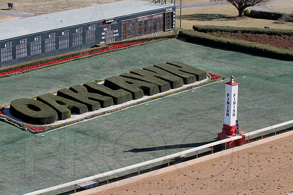 Smarty Jones Stakes 01-20-14 (©Justin Manning) JWM_0004