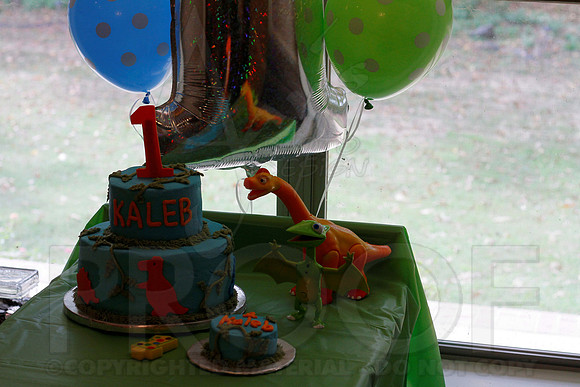 Kaleb's 1st birthday party 10-21-12 (Justin Manning)0002