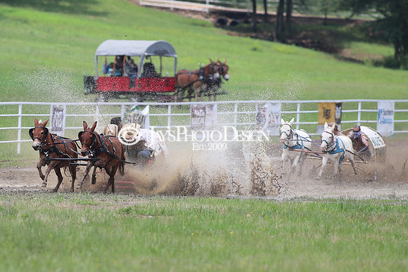 Whiskey Ridge Ranch (Chuckwagon Races) 5-25-24_JWM_0196