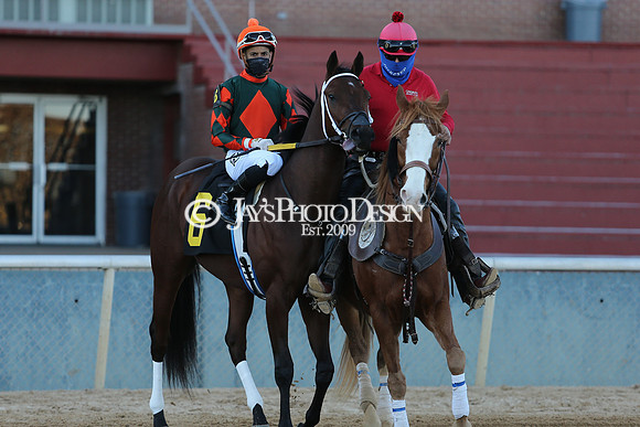 z210122_SmartyJonesStakesDay_Manning_0367