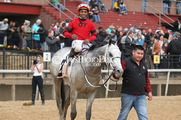z200217_SouthwestStakesDay_Manning_4227