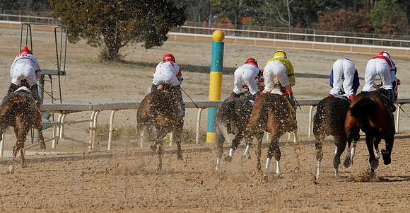 Oaklawn Park (Scenery) 1-26-14 (©Justin Manning) JWM_0107