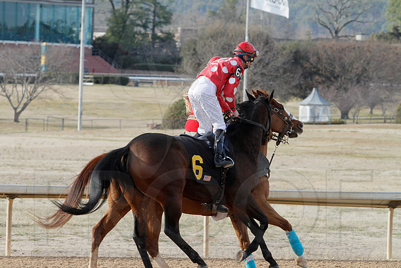 Oaklawn Park (Scenery) 1-26-14 (©Justin Manning) JWM_0126