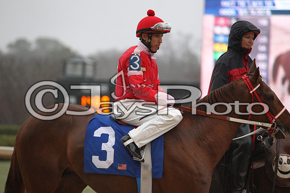 Oaklawn (Rebel Stakes Day) 3-14-2015 (©Justin Manning) JWM_242