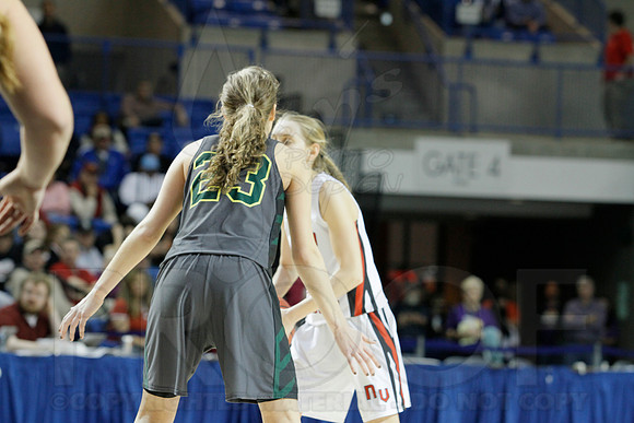 1A Girls State Finals-Nemo Vista vs. Wonderview 3-14-2014 (© Justin Manning) JWM_0260