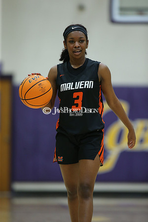Malvern @ Fountain Lake 1-26-21_JWM_0309
