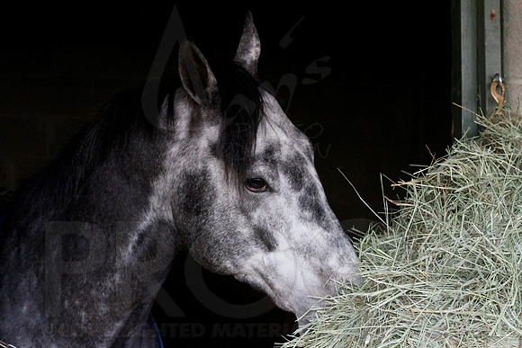Oaklawn 1-13-13 (Justin Manning)0008